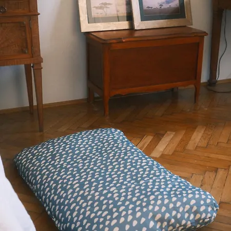 Old Town Antique Park View Apartment Krakau